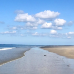 Ferienhäuser auf Fanø