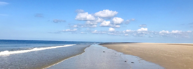 Ferienhäuser auf Fanø